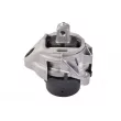 Support moteur TEDGUM [TED87717]