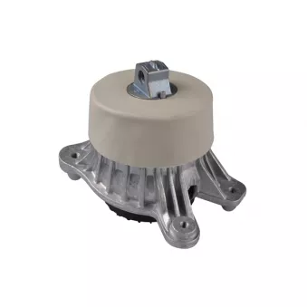 TEDGUM TED92540 - Support moteur