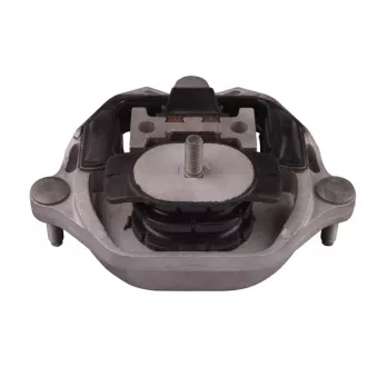 Support moteur TEDGUM TED92982 pour AUDI A6 3.0 TDI quattro - 204cv