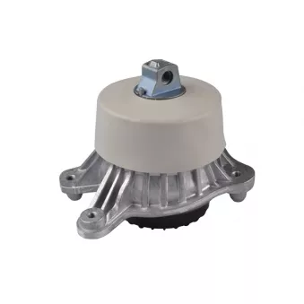 TEDGUM TED94878 - Support moteur