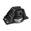 TEDGUM TED96520 - Support moteur avant droit