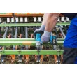 HAZET 9212-3LB/4 - Visseuse à choc (sans fil)