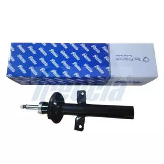 Jeu de 2 amortisseurs arrière FRECCIA OEM 1S7118A076EC