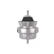TEDGUM 00056451 - Support moteur avant droit