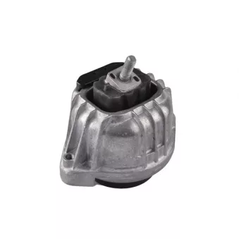 Support moteur TEDGUM OEM 22116768800