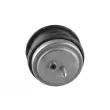 TEDGUM 00089478 - Support moteur avant droit