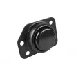 TEDGUM 00127936 - Support moteur avant droit