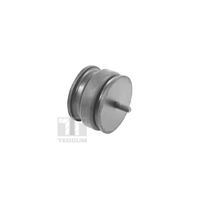 Support moteur TEDGUM 00221175 - Visuel 1