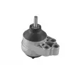 TEDGUM 00226305 - Support moteur avant droit