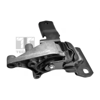 Support moteur TEDGUM OEM 1091348
