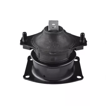 Support moteur TEDGUM OEM 50830SDAA03