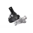 TEDGUM 00263047 - Support moteur