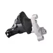 TEDGUM 00263047 - Support moteur