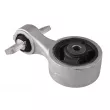 TEDGUM 00263053 - Support moteur