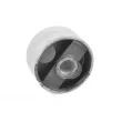 TEDGUM 00263368 - Support moteur
