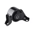 TEDGUM 00264829 - Support moteur avant droit