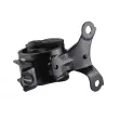 TEDGUM 00265615 - Support moteur avant gauche