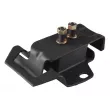 TEDGUM 00300649 - Support moteur avant droit