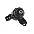 TEDGUM 00390515 - Support moteur avant droit