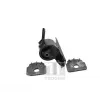 TEDGUM 00441135 - Support moteur avant droit