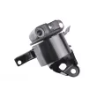 TEDGUM 00461057 - Support moteur avant droit