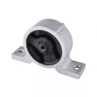 Support moteur TEDGUM OEM 112704M400