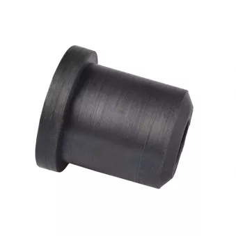 Suspension, ressort à lames TEDGUM OEM 5504510J00