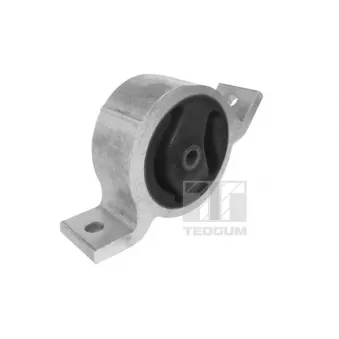 TEDGUM 00466219 - Support moteur