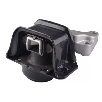 Support moteur avant droit TEDGUM OEM 183994