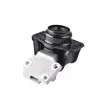 TEDGUM 00516281 - Support moteur avant droit