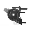 TEDGUM 00671780 - Support moteur