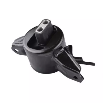 TEDGUM TED16987 - Support moteur avant gauche