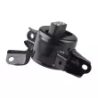 TEDGUM TED16987 - Support moteur avant gauche