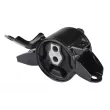 TEDGUM TED16987 - Support moteur avant gauche
