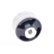 Support moteur TEDGUM [TED23091]