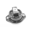 TEDGUM TED37804 - Support moteur avant droit