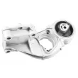 TEDGUM TED41978 - Support moteur avant droit