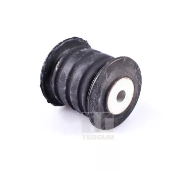 TEDGUM TED48402 - Suspension, ressort à lames