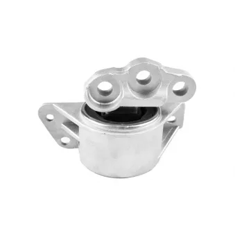 Support moteur avant droit TEDGUM TED53585 pour FIAT PUNTO 1.3 D Multijet - 90cv