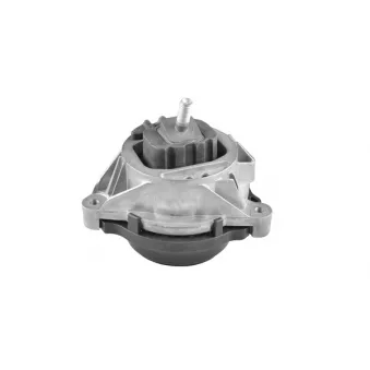Support moteur avant droit TEDGUM OEM 22116854252