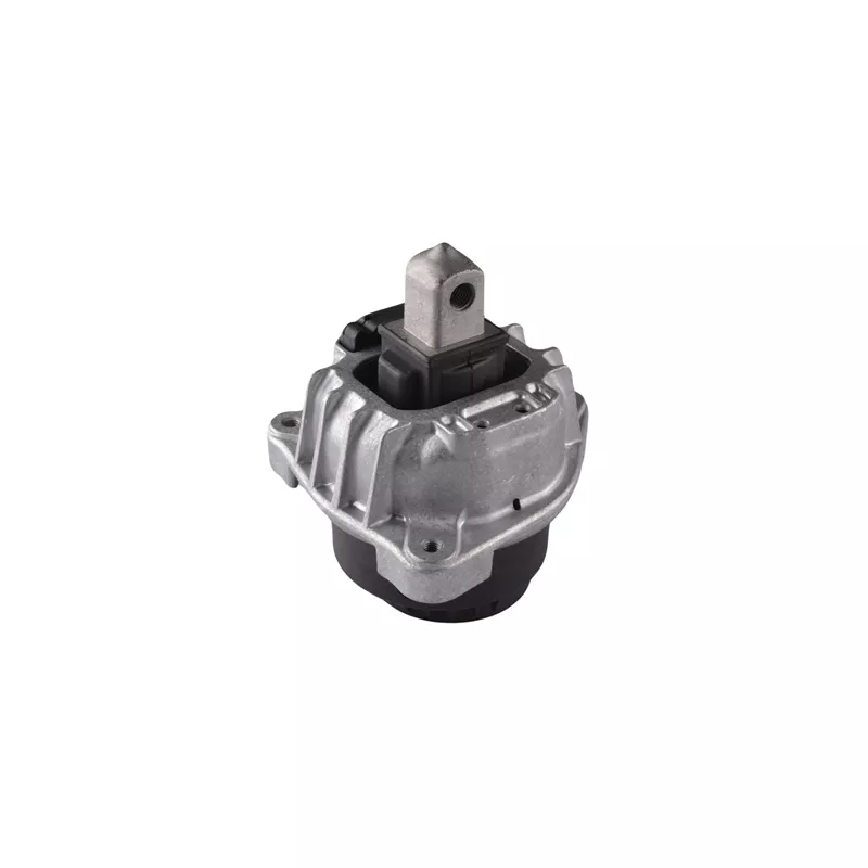 Support moteur TEDGUM TED77889 - Visuel 1
