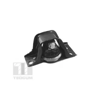 Support moteur avant droit TEDGUM OEM 8200131305