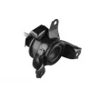 TEDGUM TED98654 - Support moteur avant droit