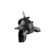 TEDGUM TED98654 - Support moteur avant droit