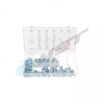 Graisseur HST HST 0365