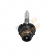RAP LIGHTING RAP-D2R - Ampoule Xenon D2S