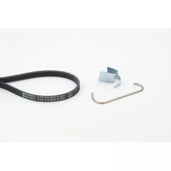 Jeu de courroies trapézoïdales à nervures CONTITECH OEM 6001547970