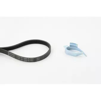 Jeu de courroies trapézoïdales à nervures CONTITECH OEM 46811241