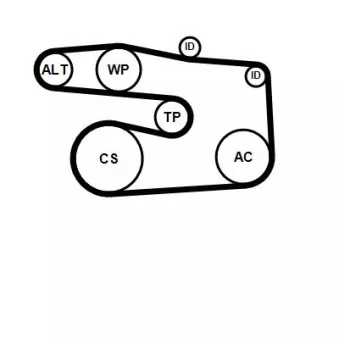 Jeu de courroies trapézoïdales à nervures CONTITECH OEM 252812A000