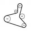 CONTITECH 6DPK1195K1 - Jeu de courroies trapézoïdales à nervures